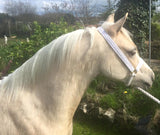 Lampeter Lace White Show Halter with Chain & Rope lead.