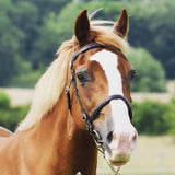 English Leather fine In Hand Bridle