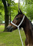 Foal & Yearling Plaited Show Halter Bright White Long lead.