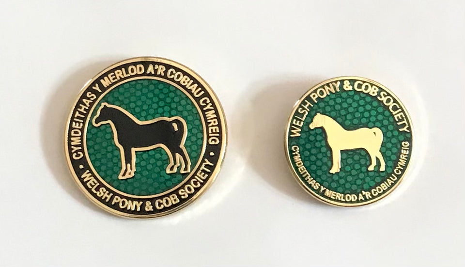 Books &amp; Publications