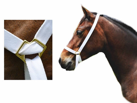 (3/4" )  20 mm Fully Adjustable White Web Halter Pony Foal or Tiny Pony