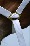 (3/4" )  20 mm Fully Adjustable White Web Halter Pony Foal or Tiny Pony