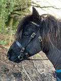 English Leather In Hand Show Stallion Bridle.