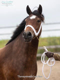 8 Strand (1-1/4 or 1 -1/2" wide) Plaited Halter with Chain and Rope Lead