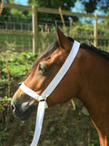 Extra Wide 1.5" (38 mm) Web Adjustable Show Halter Large Welsh Cob, Traditional, Heavy Horse.