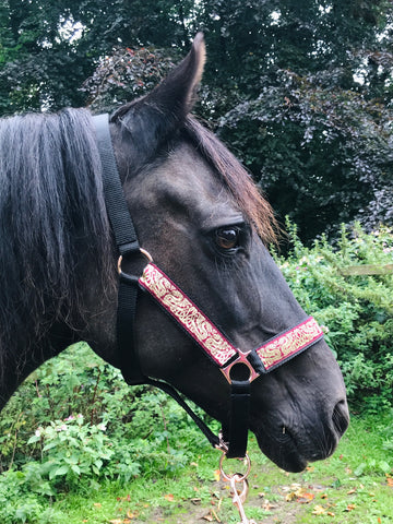 Celtic Dragon Headcollar & Lead set. Black/Burgundy/Gold