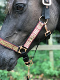 Celtic Dragon Headcollar & Lead set. Black/Burgundy/Gold