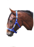 Quality Welsh Flag Adjustable Head Collar