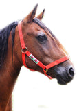 Quality Welsh Flag Adjustable Head Collar