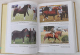 Welsh Pony & Cob Society Journals 1976-1989