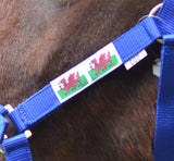 Quality Welsh Flag Adjustable Head Collar