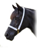 Lampeter Lace White Show Halter with Chain & Rope lead.