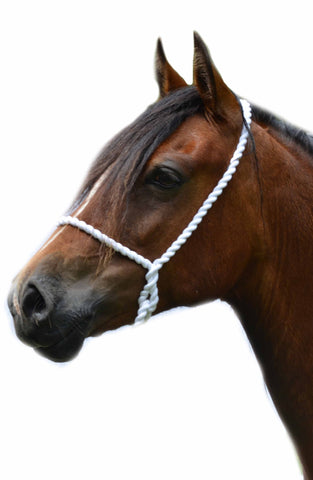 Basic White Rope Halter Pony or Cob