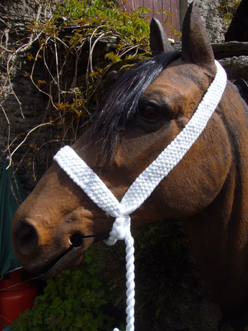 10 Strand (1 1/4") Plaited Halter