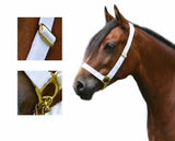 1" Adjustable Show Halter Chain Lead