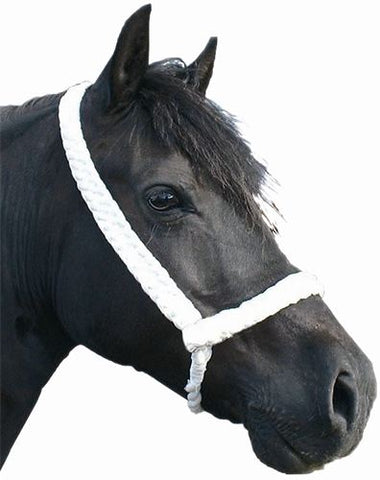 8 Strand Plaited Halter Extra Long Lead