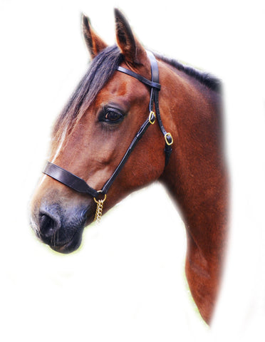 English Leather In Hand Bitless Show Bridle Wide Noseband