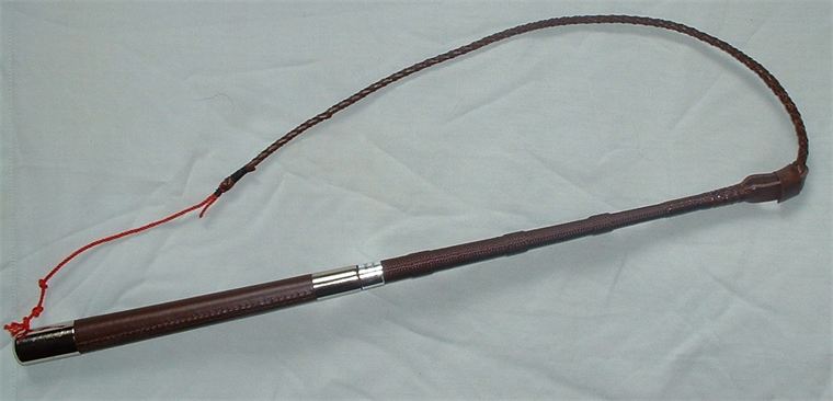 In Hand Whips &amp; Accessories